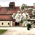 Hof des Museums KulturLand Ries - Foto: Matthias Meyer, Museum KulturLand Ries