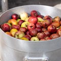 Äpfel im Waschzuber