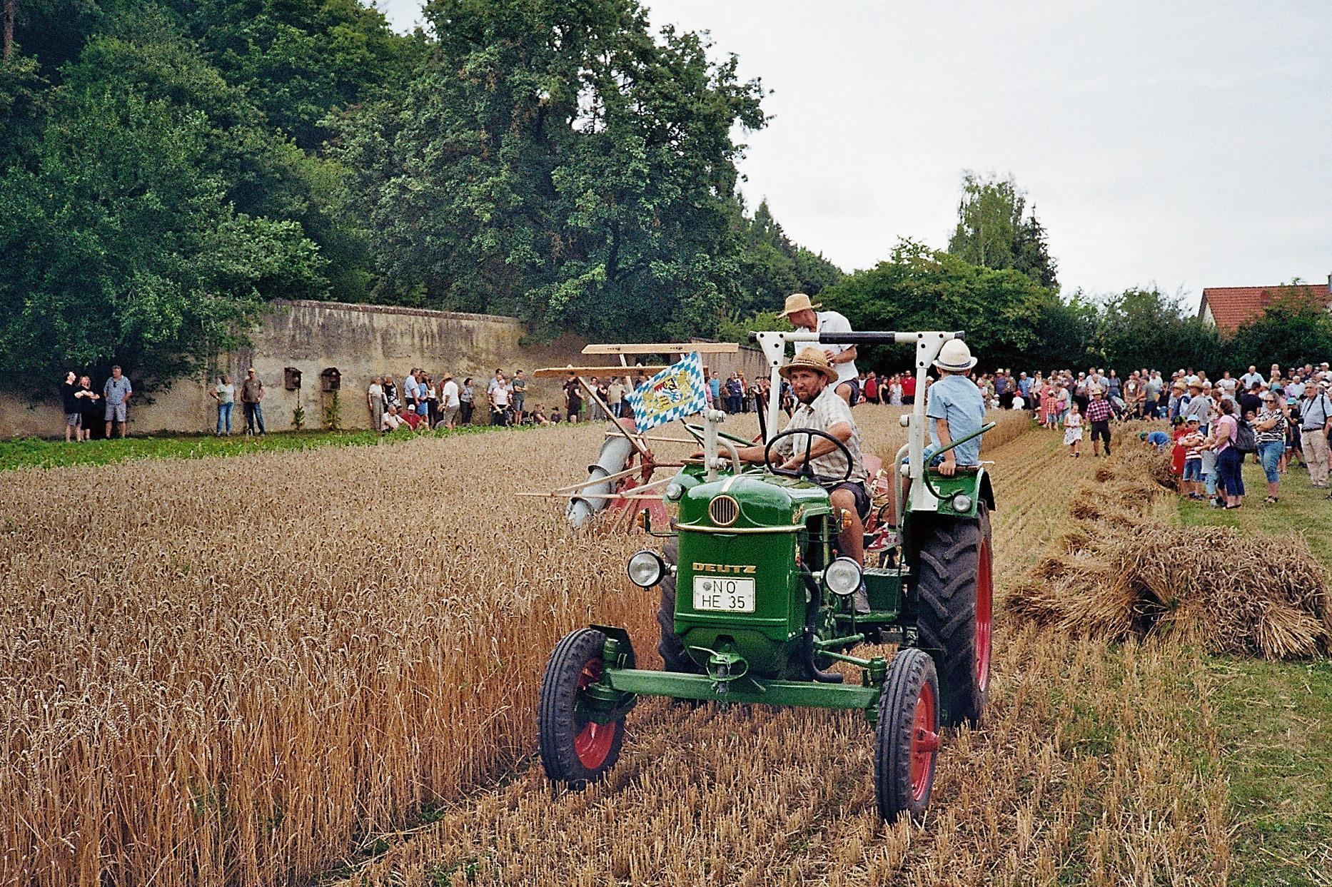 2024-08-04 Schnitterfest-Bindemaeher-001 MatthiasMeyer Traktor mit Bindemäher beim Schnitterfest