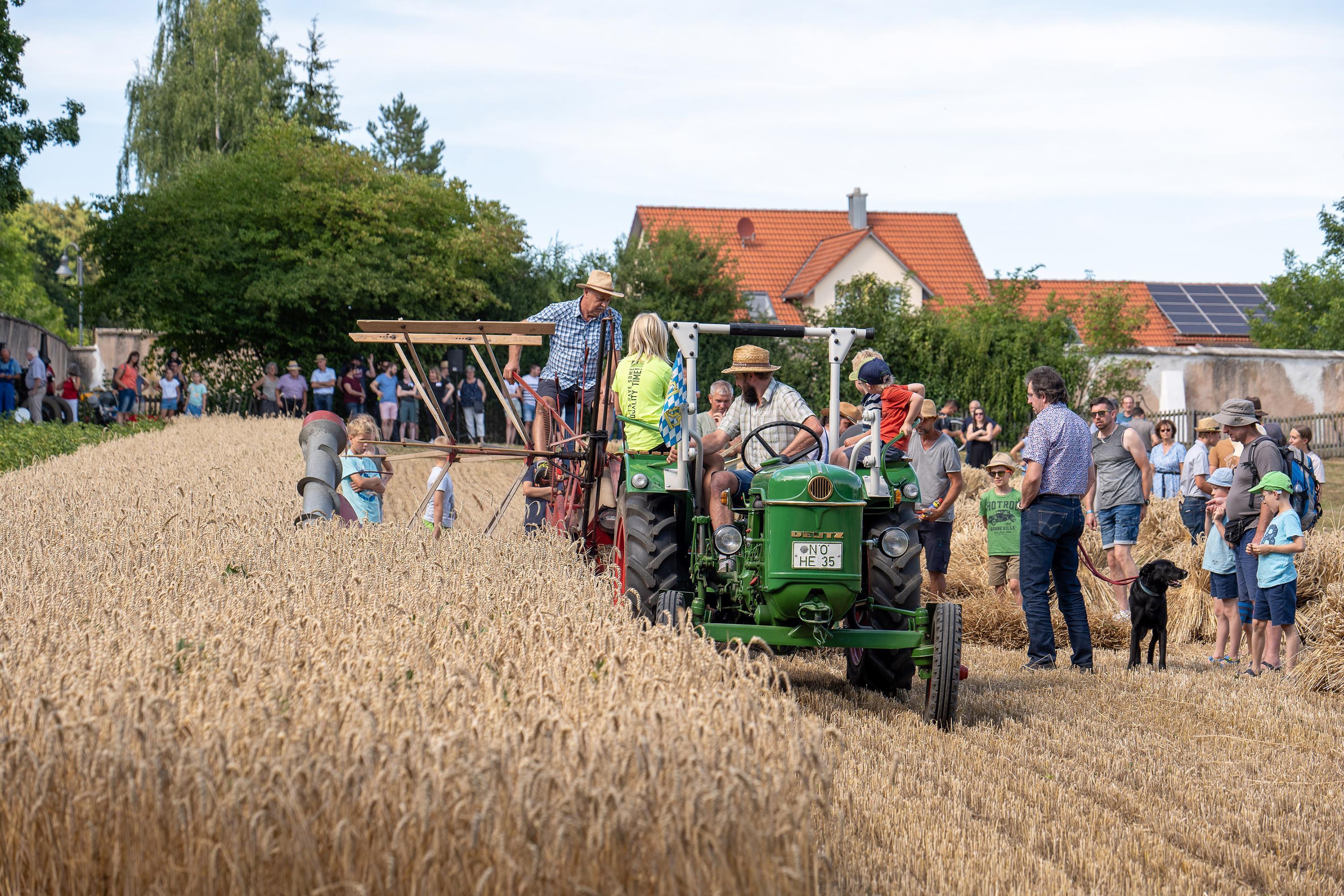 Mit dem historischen Mähbinder wird das Getreide auf dem Museumsfeld geerntet, Foto: Matthias Meyer/Museum KulturLand Ries