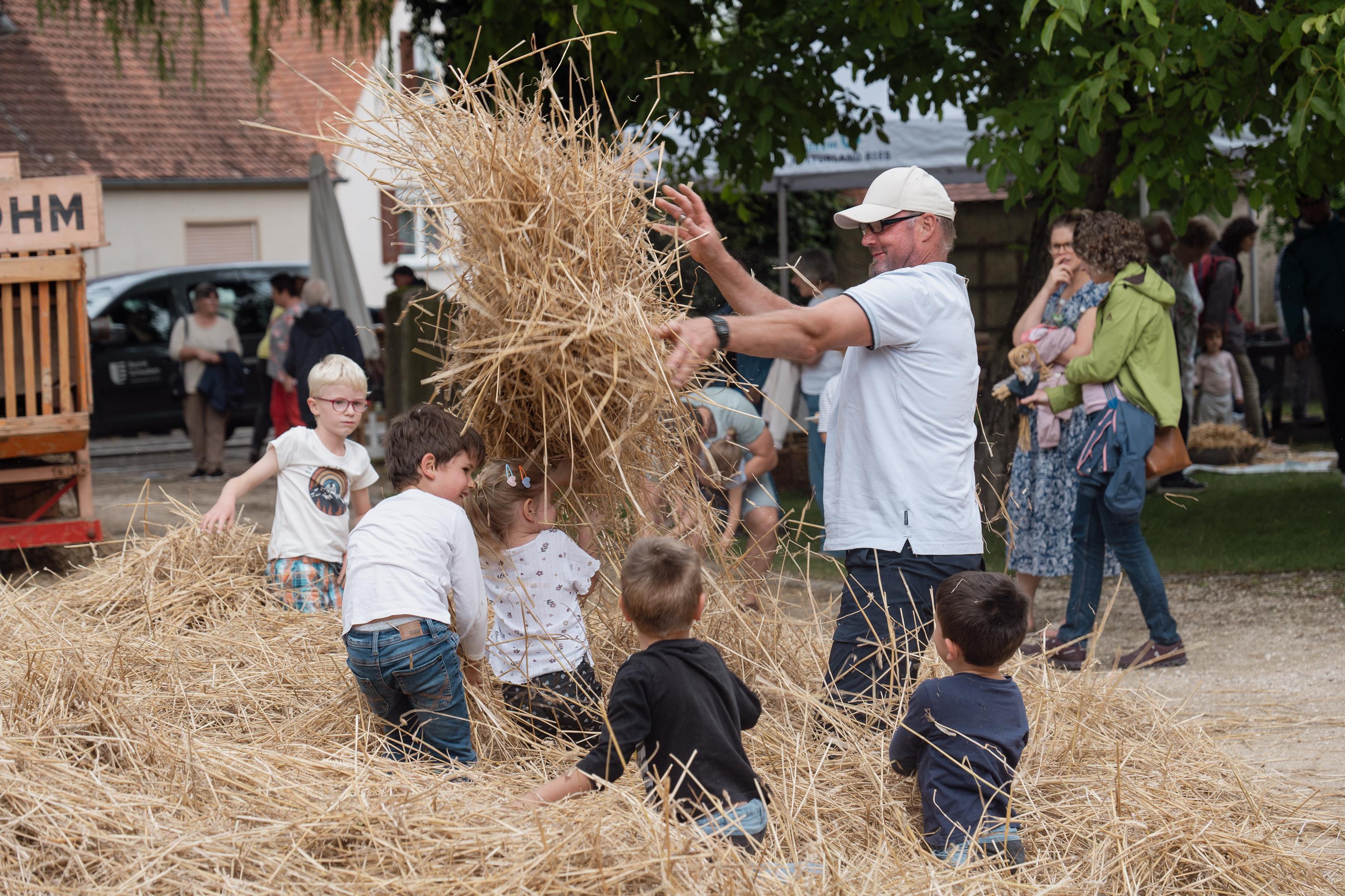 2025-07-27 MKLR Schnitterfest 758 Matthias Meyer