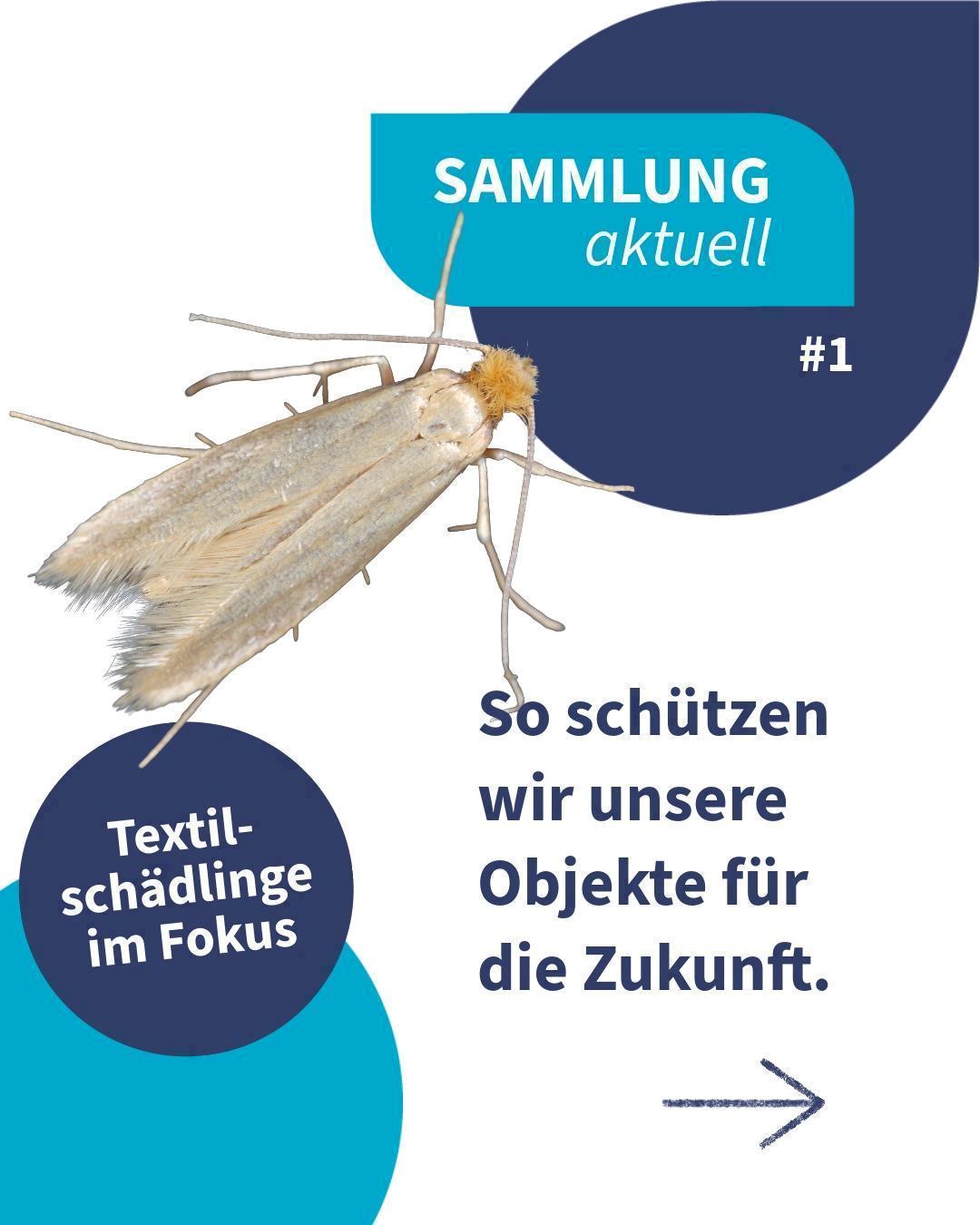 2025-11-18 Sammlung-aktuell 01-1