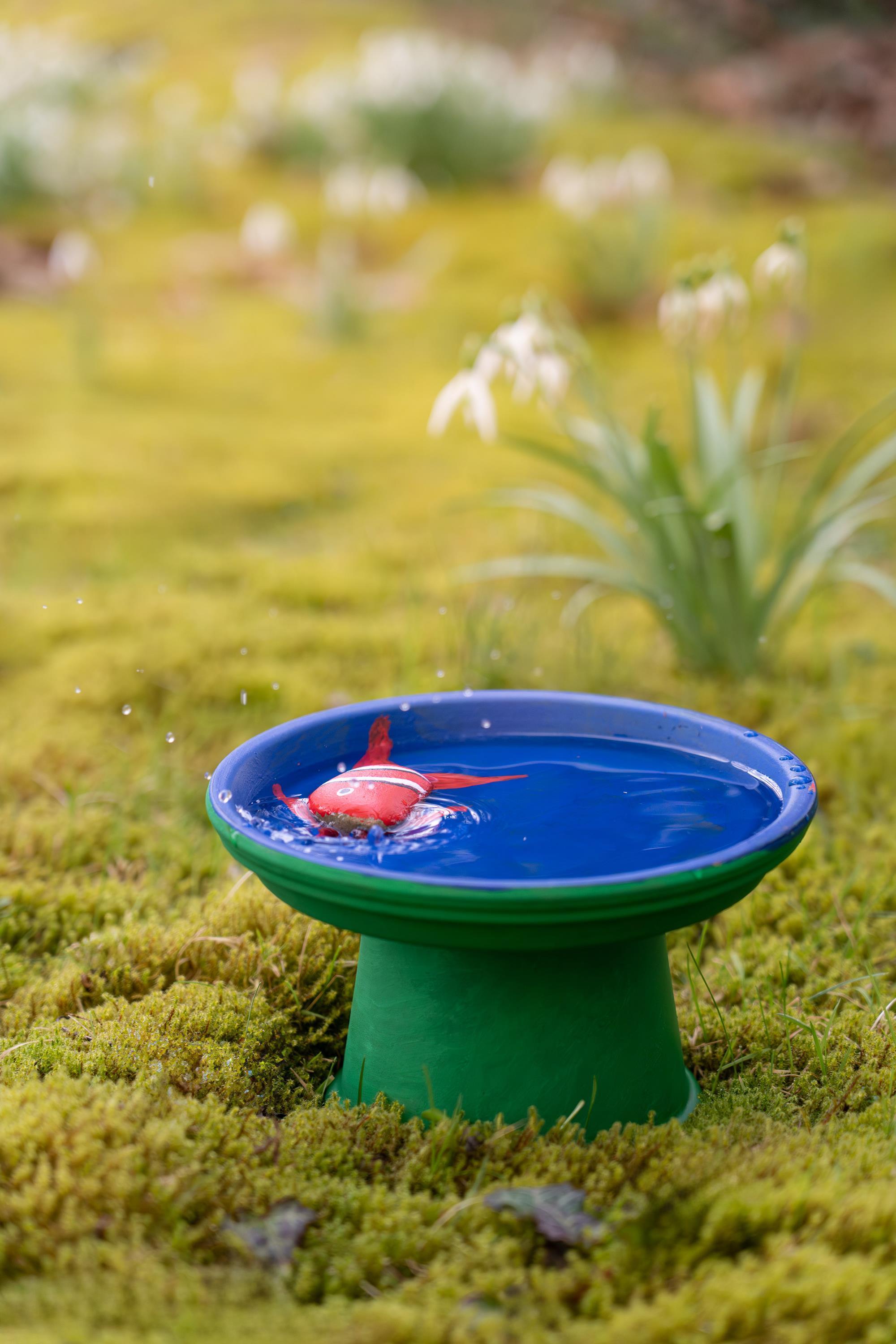Ferienprogramm | Land.schafft.Klang: Vogeltränke bauen