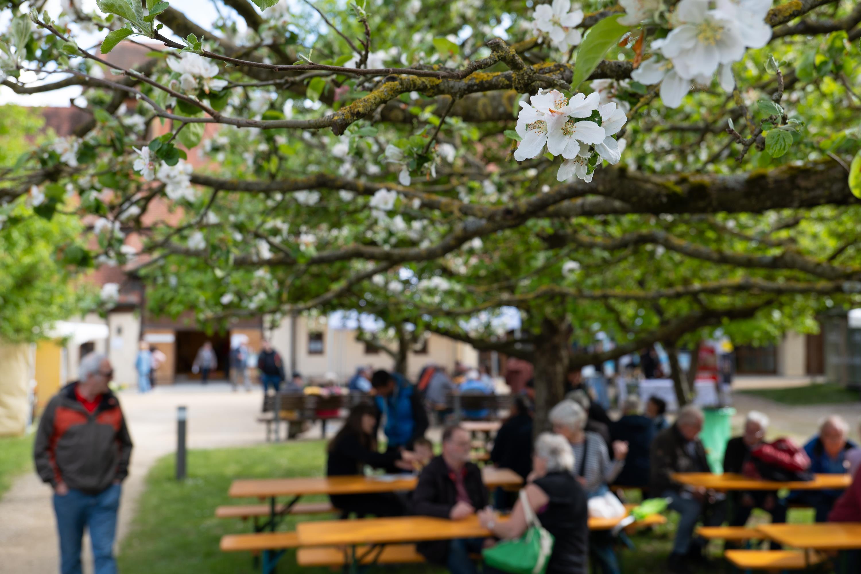 Blick in den Museumshof beim GenussKulturMarkt