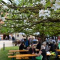 Blick in den Museumshof beim GenussKulturMarkt