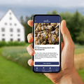 Eine Hand hält ein Smartphone, auf dem die MuseumsApp läuft.