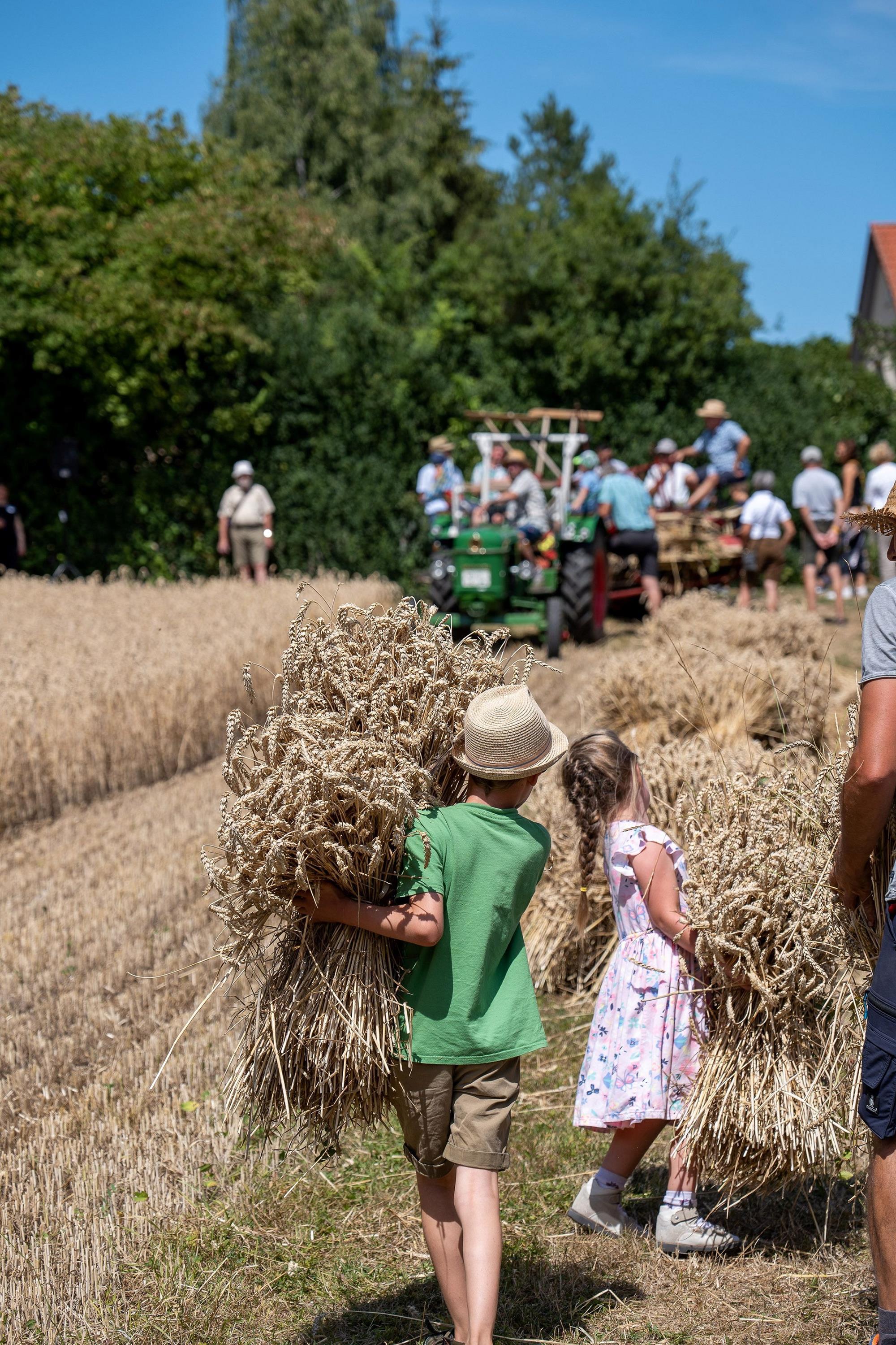Über Ähren und Mandeln: Das 27. Schnitterfest im Museum KulturLand Ries in Maihingen lädt zu einer Zeitreise ein 