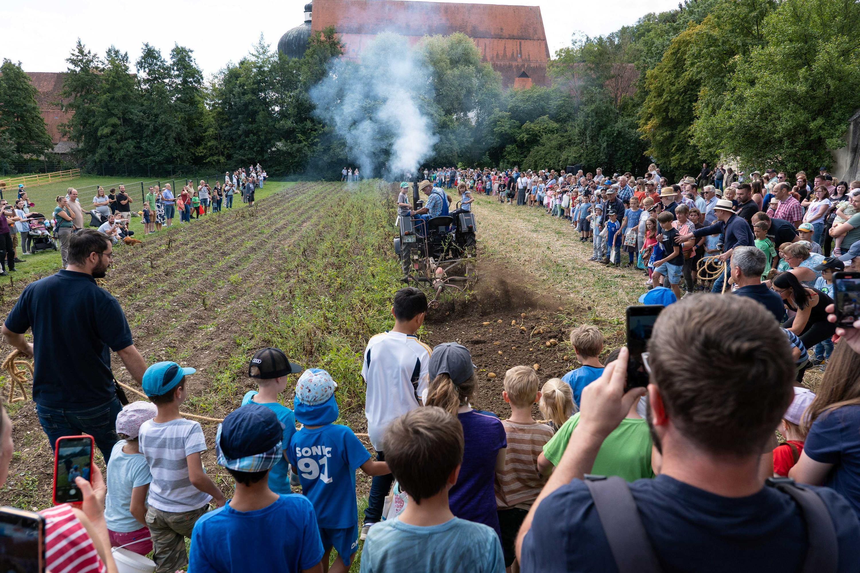 Ein Höhepunkt des Festes ist das Kartoffelroden und -klauben auf dem Museumsfeld.  Bildnachweis: Matthias Meyer