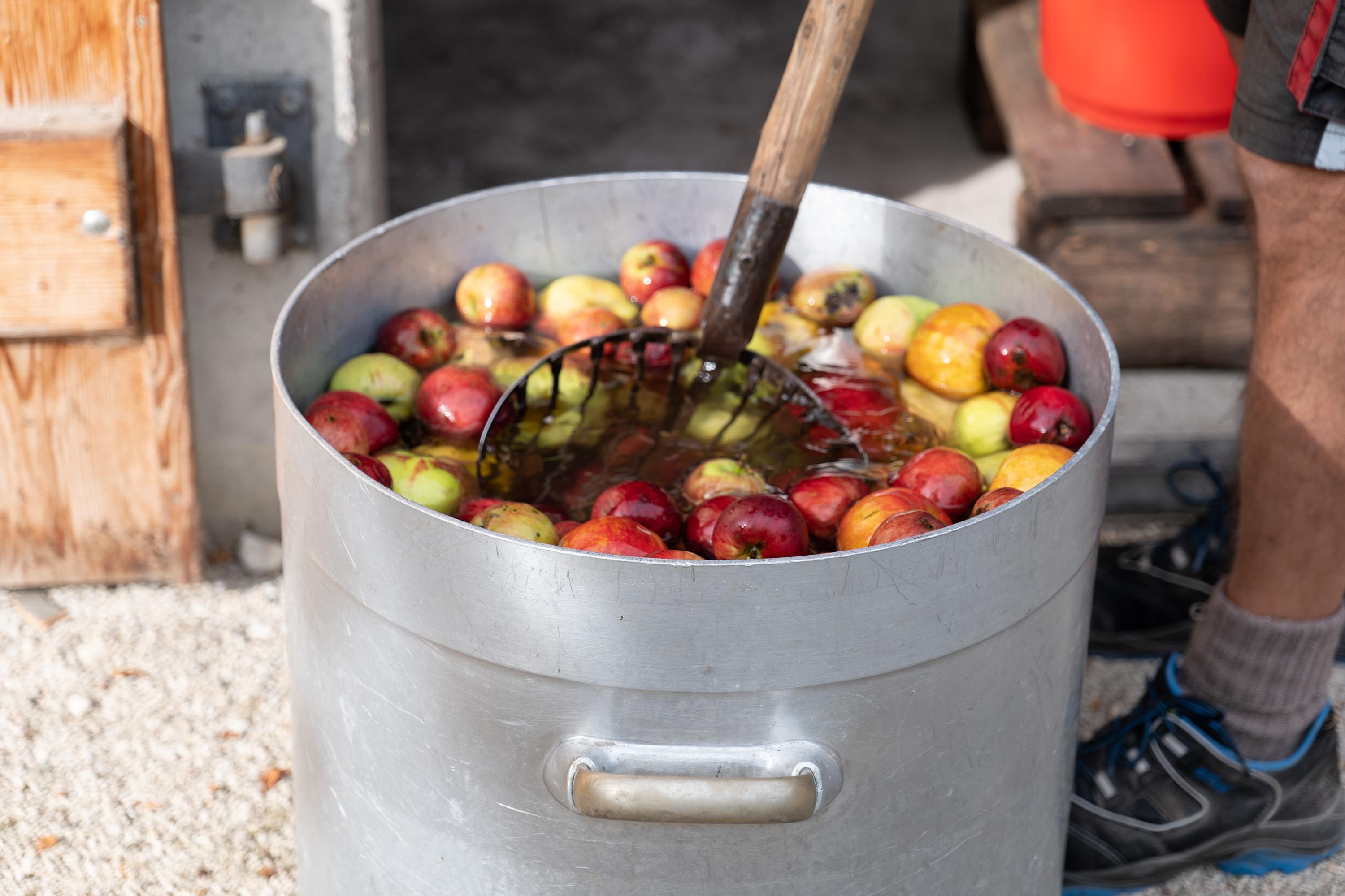 Ferienprogramm | Herbst im Museum – Apfelsaft pressen