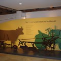 Der Eingangsbereich der Ausstellung Rieser Landwirtschaft im Wandel in der Klosterökonomie