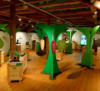 Holz macht Sachen! Holz, Baum, Wald und Du? Führungen im Museum KulturLand Ries
