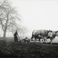 Mit dem Vortrag „Vom Ackergaul zum Agrarroboter“ startet der Bezirk im Museum KulturLand Ries die Veranstaltungsreihe NATOUR - Foto: Heinrich Förster junior
