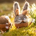 Der Osterhase kommt