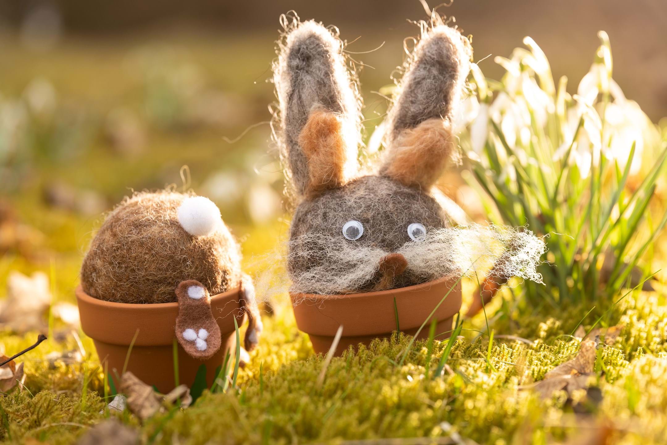Der Osterhase kommt