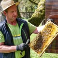 Imker Anton Göck aus Maihingen bei seiner  Tätigkeit im Bienengarten - Foto: Matthias Meyer