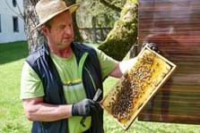 Imker Anton Göck aus Maihingen bei seiner  Tätigkeit im Bienengarten - Foto: Matthias Meyer