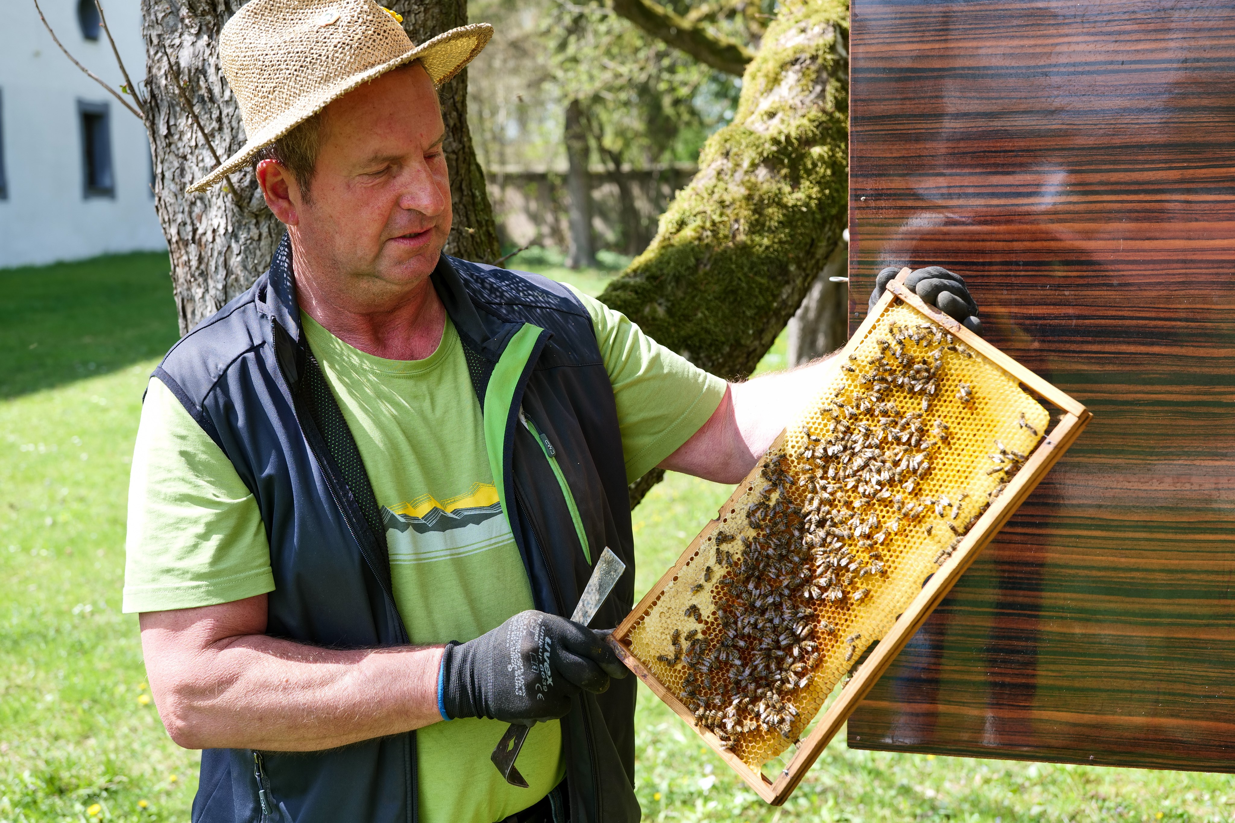 Aktionswochenende Bienen und Imkerei
